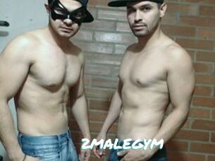 2MALEGYM