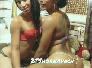 2TShorny11inch
