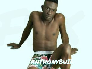 ANTHONYBUIL