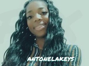 ANTONELAKEYS