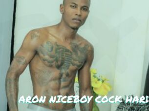 ARON_NICEBOY_COCK_HARD