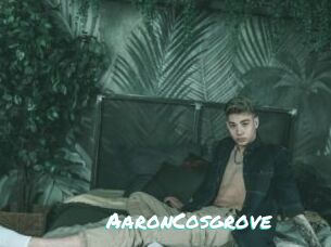AaronCosgrove