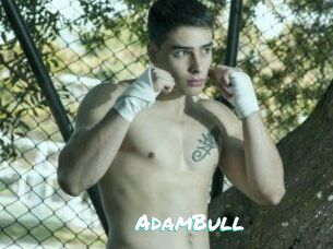 AdamBull