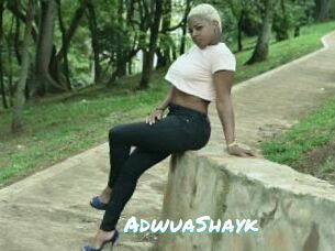 AdwuaShayk