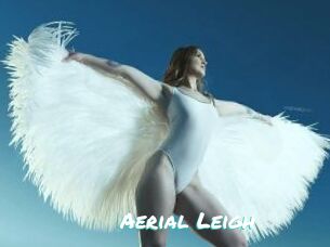 Aerial_Leigh