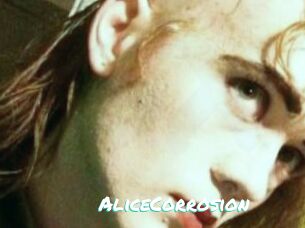 AliceCorrosion