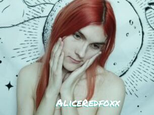 AliceRedfoxx