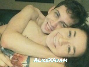 Alice_X_Adam