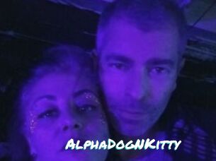 AlphaDogNKitty