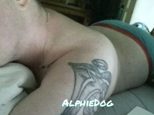 Alphie_Dog