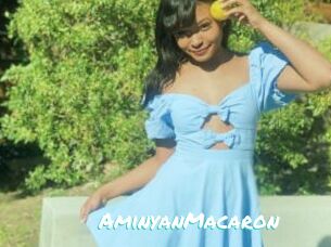 AminyanMacaron