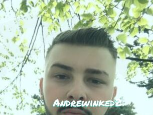 Andrewinked2