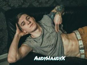 AndyHandyX