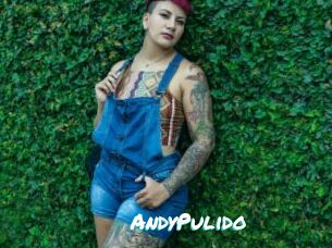 AndyPulido