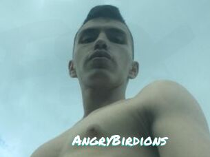 AngryBirdions