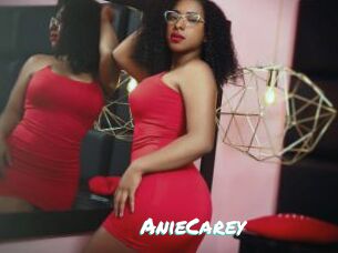 AnieCarey