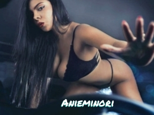 Anieminori