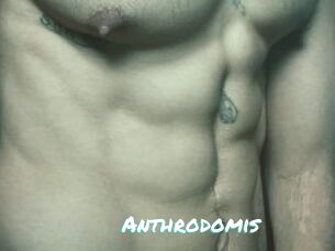 Anthrodomis