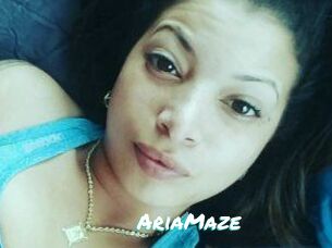 Aria_Maze