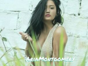 AriaMontgomery