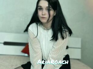 AriaRoach