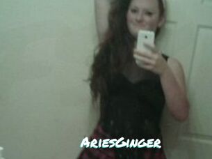 AriesGinger