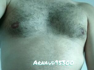 Arnaud95300