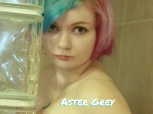 Aster_Grey