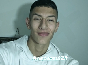 Aaronseb129