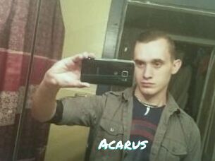 Acarus