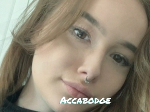 Accabodge