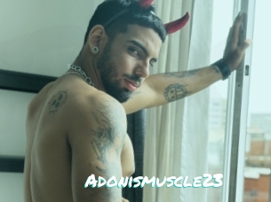 Adonismuscle23