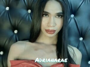 Adrianarae