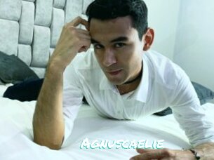 Agnuscaelie