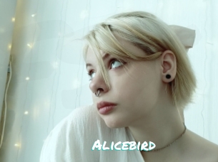 Alicebird