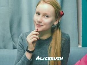 Alicebush