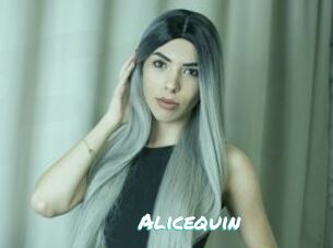 Alicequin