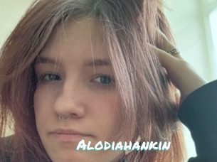 Alodiahankin