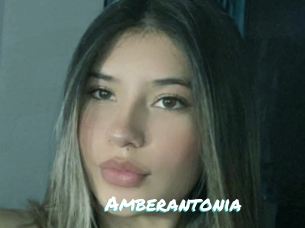 Amberantonia