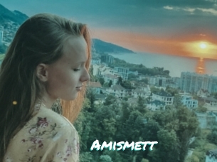 Amismett