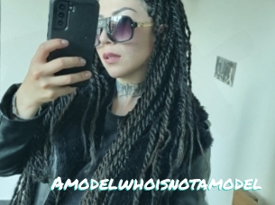 Amodelwhoisnotamodel