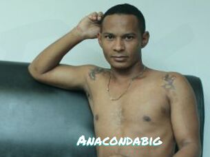 Anacondabig
