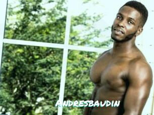 Andresbaudin