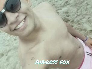 Andress_fox