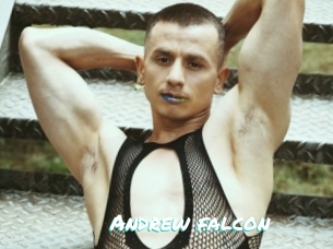 Andrew_falcon