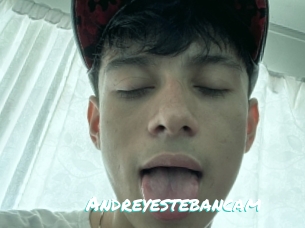 Andreyestebancam