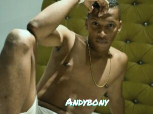 Andybony