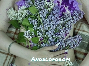 Angelofgrom