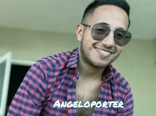 Angeloporter