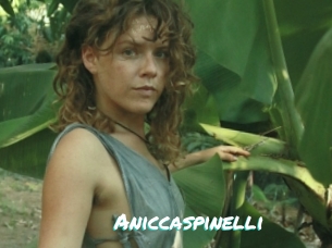 Aniccaspinelli